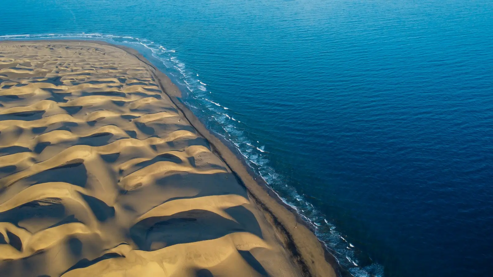 Vista aérea de las Dunas de Maspalomas junto al océano