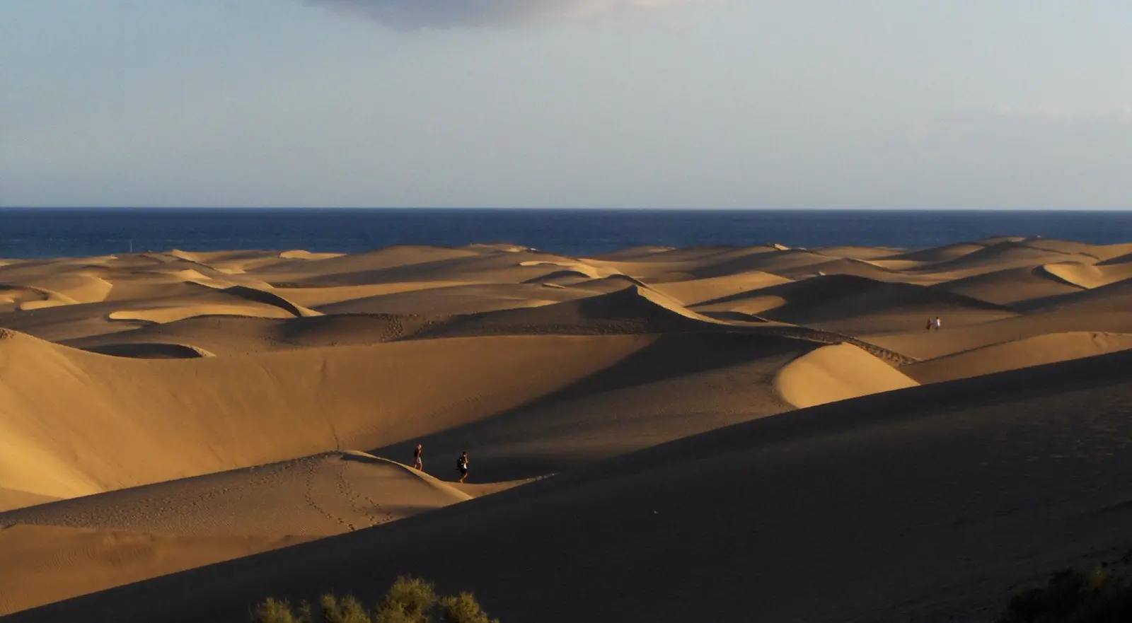 Panorámica de las Dunas de Maspalomas al atardecer